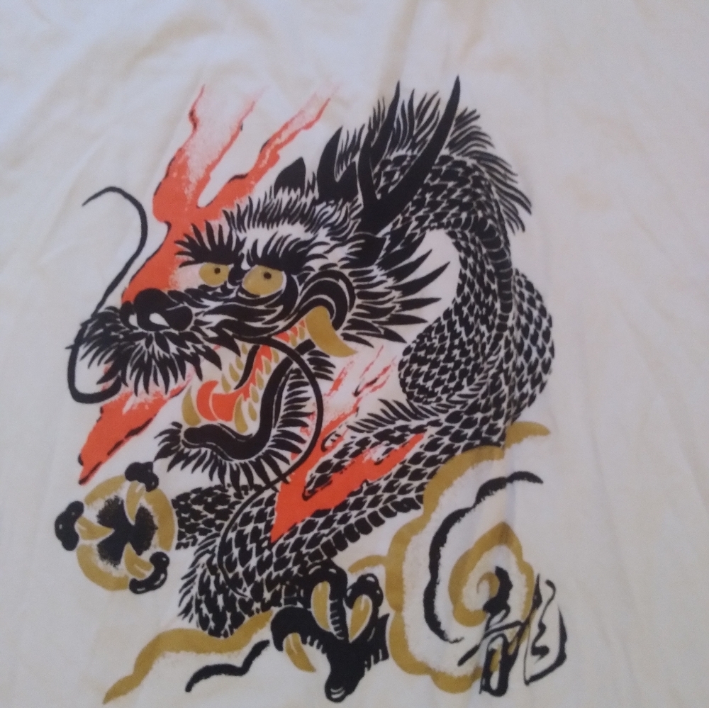 Japan Shine Dragon Tshirt  Authentic